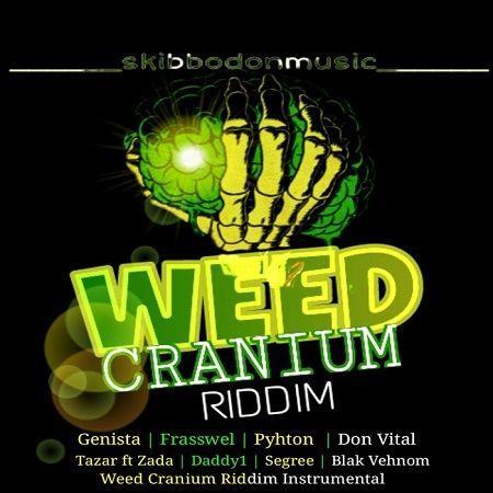 weed cranium riddim - skibbo don music