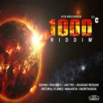 1000c Riddim – 876 Records