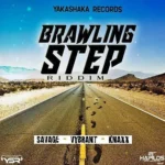 Brawling Step Riddim – Yakashaka