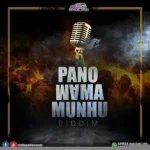 Panomama Munhu Riddim – Chillspot Recordz