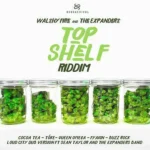 Top Shelf Riddim – Walshy Fire