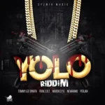 Yolo Riddim – Cyzmik Music