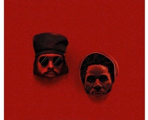 Protojechronixxnoguarantee