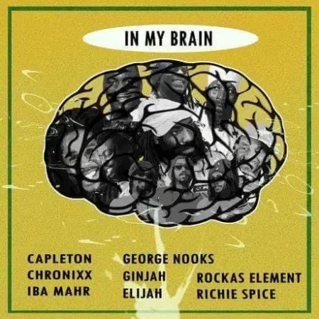 in-my-brain-riddim-reggae-2018-kickin-productions