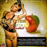 Temptation Riddim Remastered/Reloaded (2019) – Slick