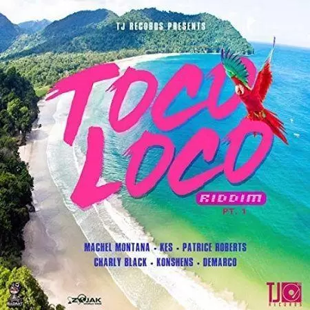 toco loco riddim (afro-dancehall) - tj records