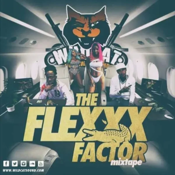 the flexx factor mixtape - wildcat sound