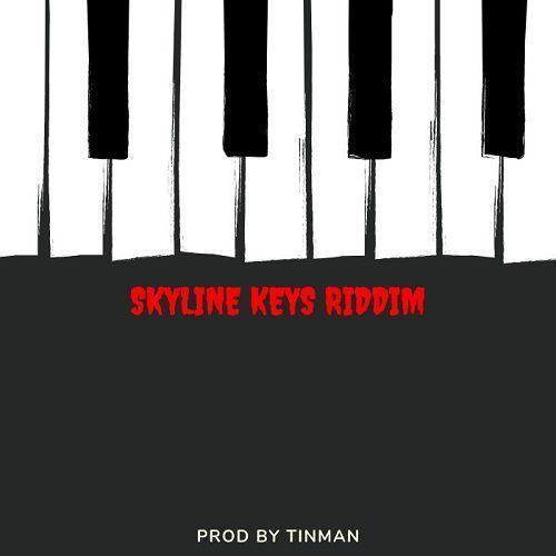 skyline keys riddim (zim-dancehall) - noku music group