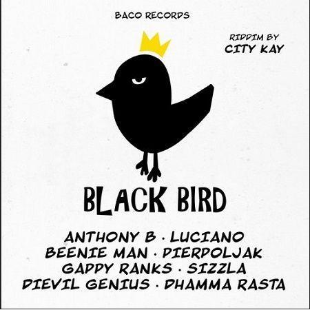 black bird riddim - baco records
