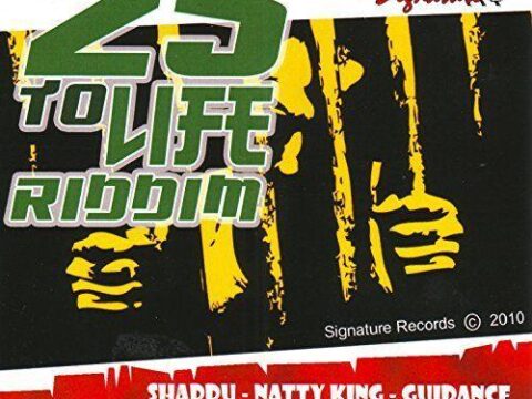 25 To Life Riddim