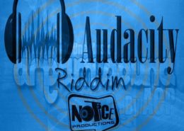 Audacity 2011