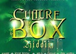 Culture Box Resize