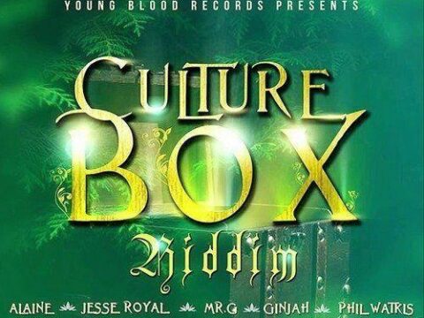 Culture Box Resize
