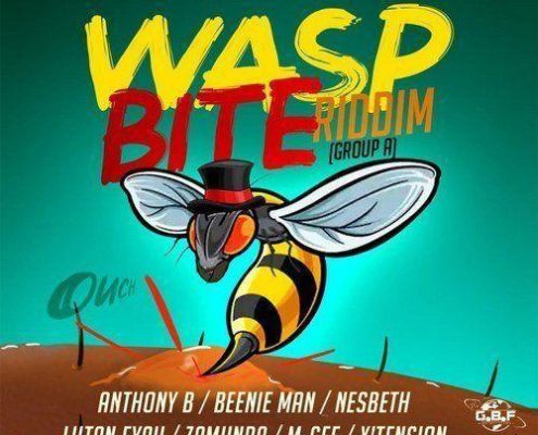 Wasp Bite Riddim Resize