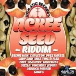 Ackee Seed Riddim – Hitmatic Records