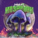 Mushroom Riddim – Anju Blaxx