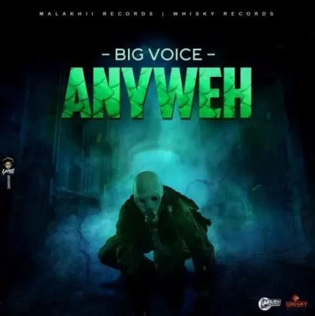 Zone 9 Riddim – Malakhii Records / Whisky Records zone 9 riddim - malakhii records / whisky records