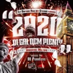 2020 Di Gal Dem Plenty Mixtape – DJ Fearless
