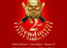 2nd Ammendment Riddim