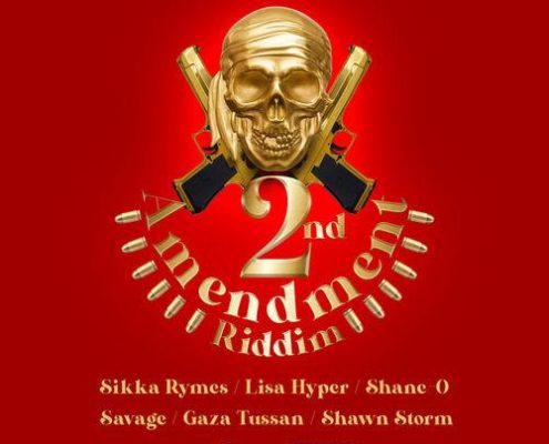 2nd Ammendment Riddim