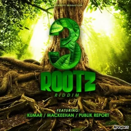 3rootz riddim - afirootz production