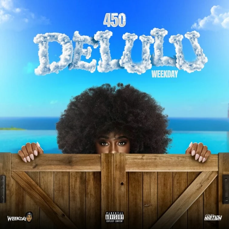 450 - Delulu