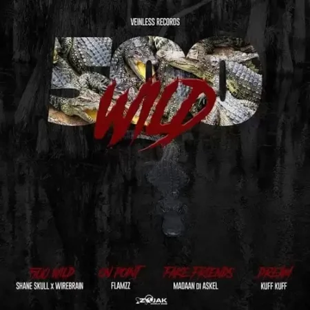 500 wild riddim - veinless records