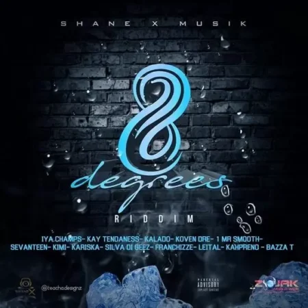 8 Degrees Riddim - Shane X Musik