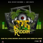 876 Riddim (2021) – Real Mckoy Records