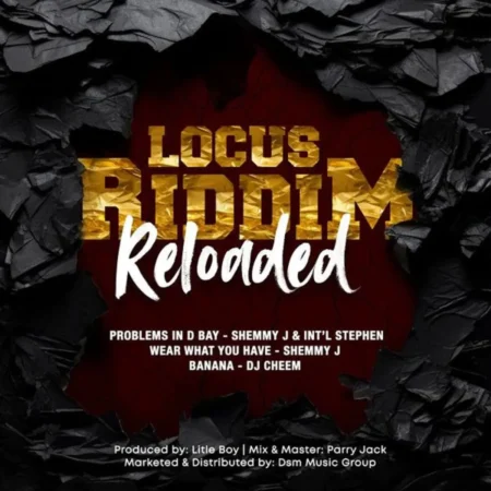 Locus Riddim Reloaded By Dsm Music