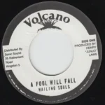 A Fool Will Fall Riddim – Volcano Records