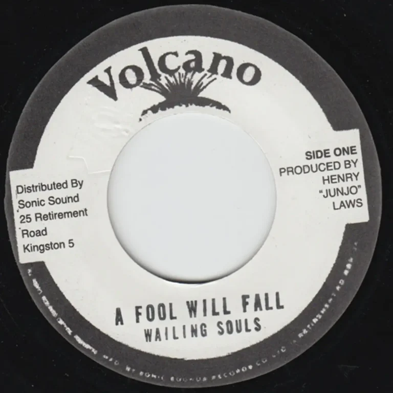 A Fool Will Fall Riddim - Volcano Records