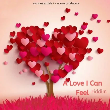 A Love I Can Feel Riddim - Various Producers