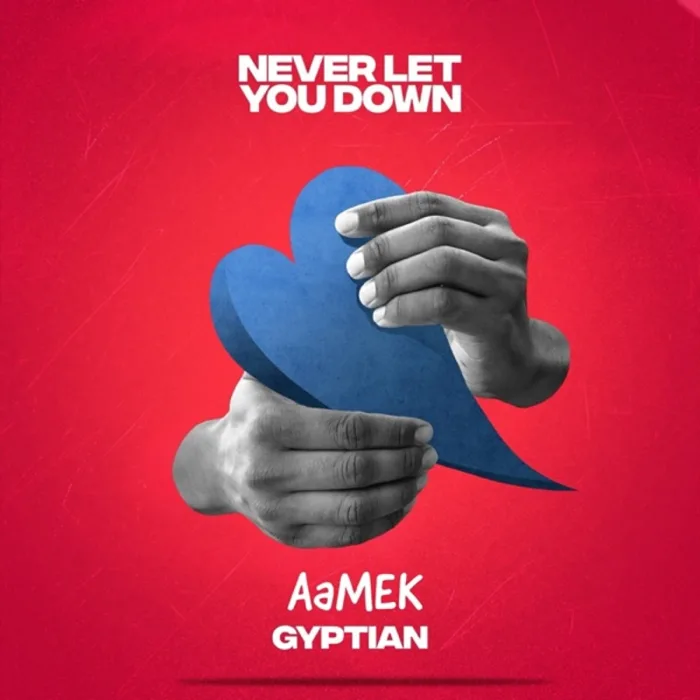 aamek-gyptian-never-let-you-down-700x700