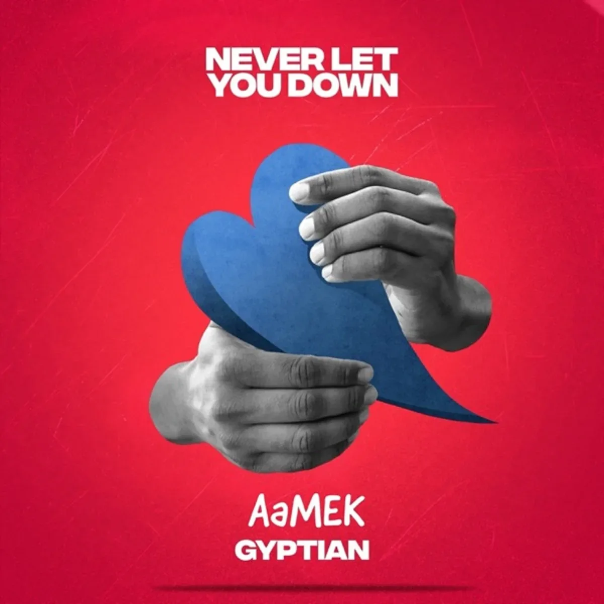 aamek-gyptian-never-let-you-down-jpg