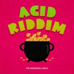 Acid Riddim (Y2K Dancehall Gold) – Pot Of Gold Production
