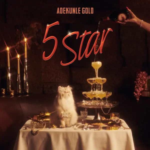 adekunle gold - 5 star