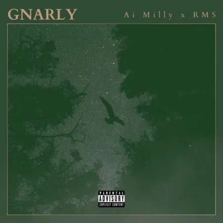 Ai Milly - Gnarly