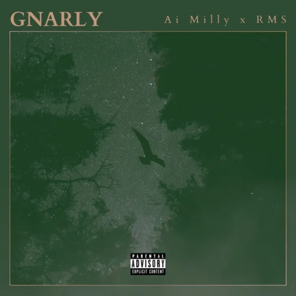Ai Milly - Gnarly