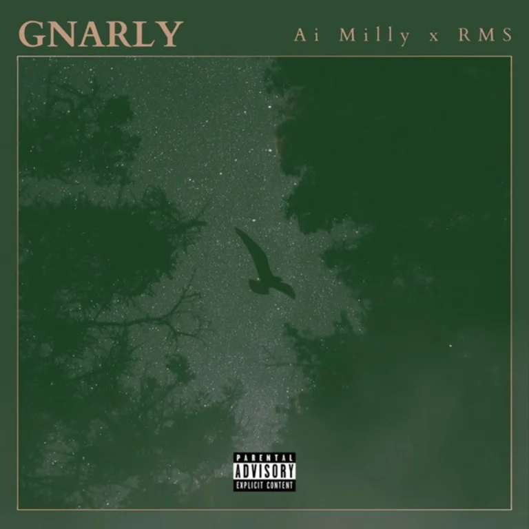 Ai Milly - Gnarly