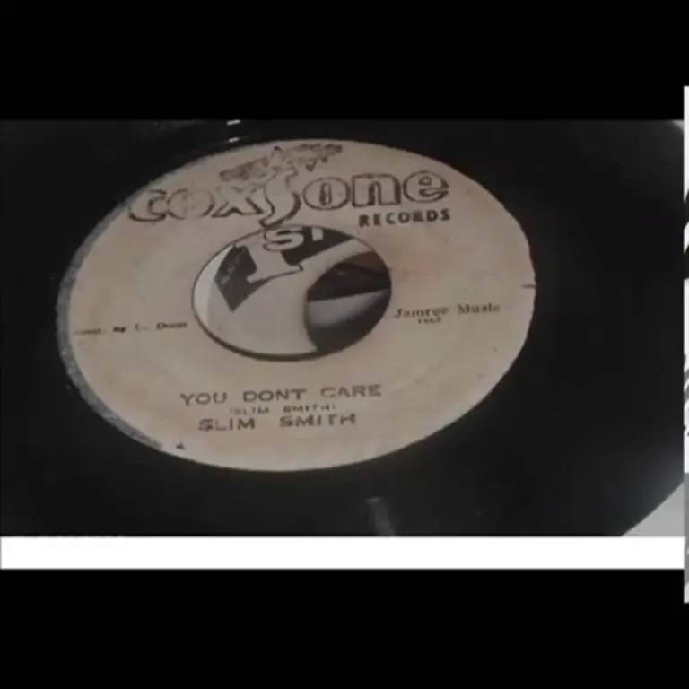 You Don't Care Riddim - Various Labels