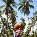 Akina Eman – Long Way
