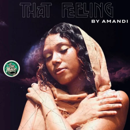Amandi – That Feeling Amandi - That Feeling