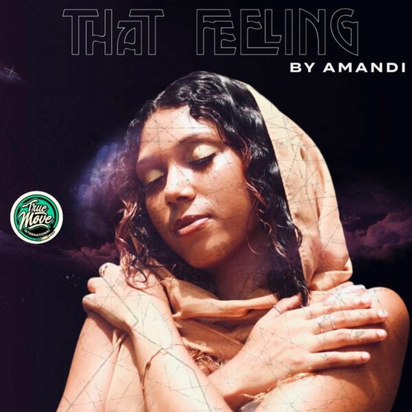 Amandi - That Feeling