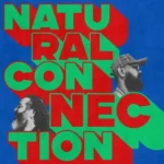 Àṣẹ At The Controls & Gomba Jahbari – Dub Connection