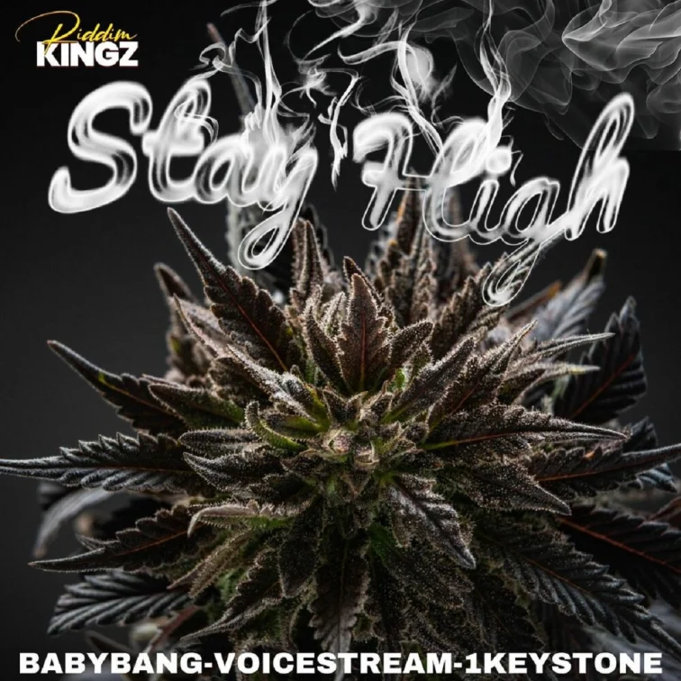 Babybang X 1keystone X Voicestream - Stay High