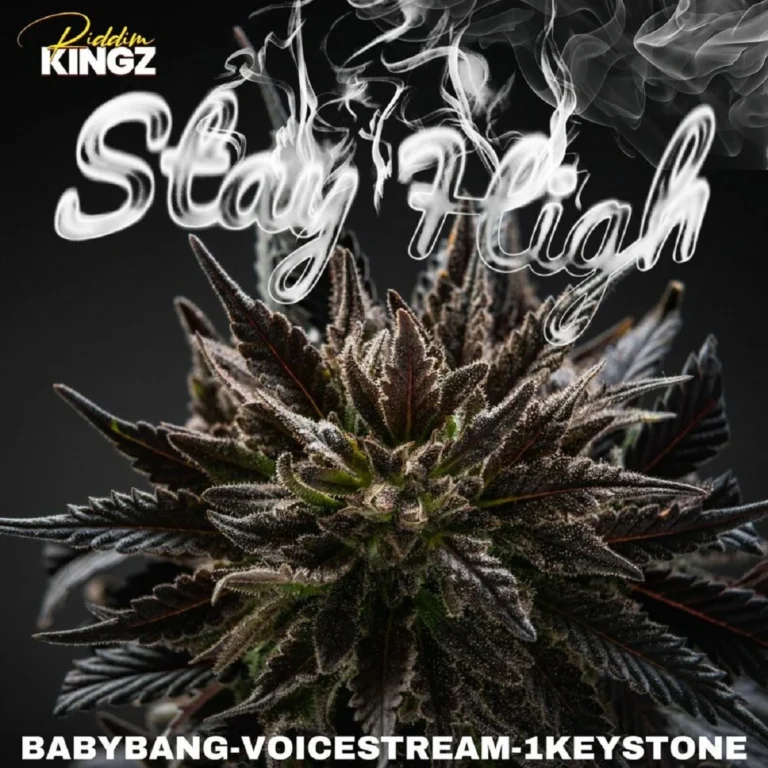 Babybang x 1keystone x Voicestream – Stay High Babybang X 1keystone X Voicestream - Stay High