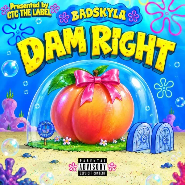 Badskyla & C.t.c The Label - Dam Right