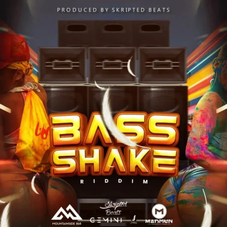 Bass Shake Riddim - Skripted Beats