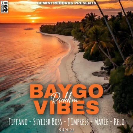 Baygo Vibes Riddim - Gemini Records